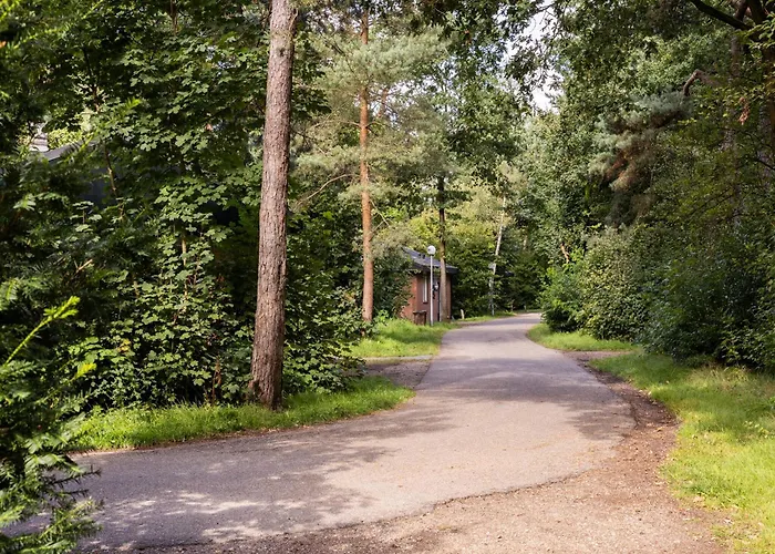 Cozy Forest Retreat Near Dom wakacyjny